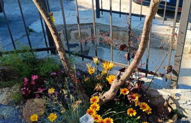 Casa Leonardo a Poggi - Foto 65