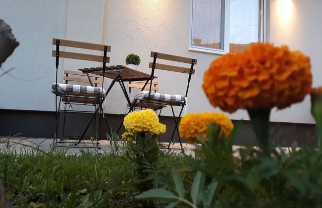 Vila & Apartments MATEA - Foto 71