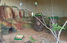 Ferienwohnung Gentsch in Schmannewitz - Foto 66