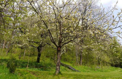 Gästehaus Seeber - Foto 5
