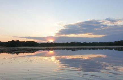 Wilczy Zew Private Spa & Nature - Foto 29