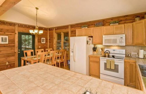 Top of the Line Asheville Mountain Cabin - Foto 19