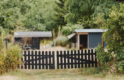 Urlaub im Alten Kutscherhaus - Photo 51