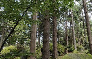 Pools, Sauna und Balkon mit Panoramablick - Foto 47