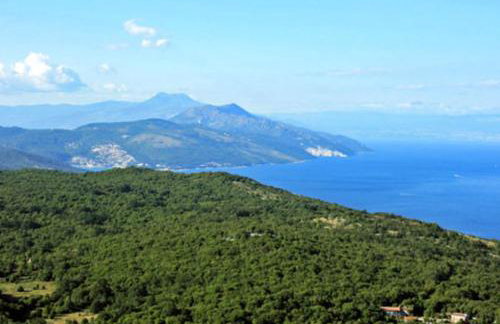 Sea apartment by beach Vine, olive oil tasting, kajaks, grill - Photo 68