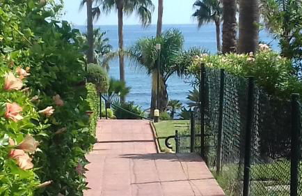 Mi Capricho - Photo 45