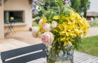 La Belle Etoile - Convivial house with a relaxed holiday atmosphere - Photo 35