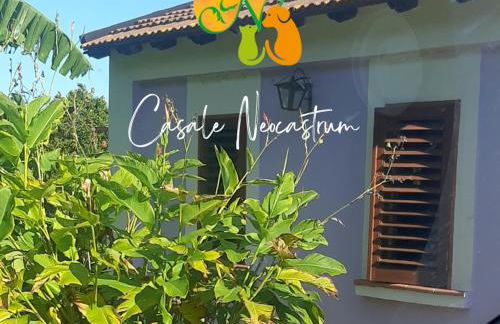 Azienda Agricola Neocastrum - Photo 1