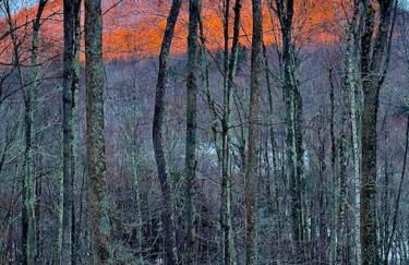 Perfect Vermont Battenkill Log Cabin - Photo 37