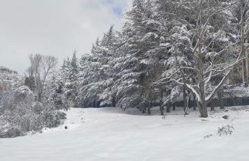 Villa Center appartamenti nel verde in città - Foto 63