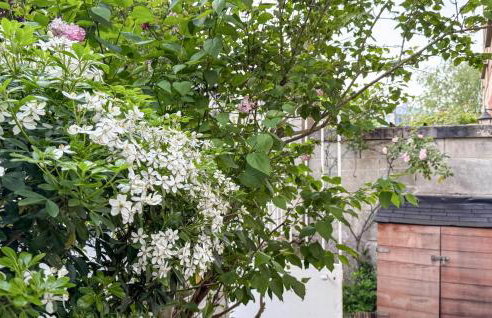 Charmante Maison De Ville - Foto 11