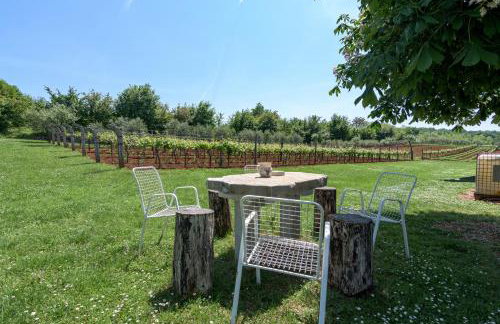 Family friendly house with a parking space Sveti Martin, Central Istria - Sredisnja Istra - 7849 - Foto 8