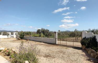 Villa i tre pini - Porto Pino - Foto 25