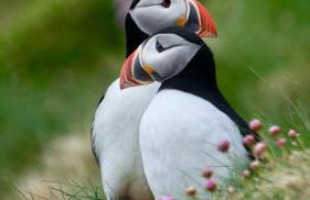 Normann's Ruh - Foto 16