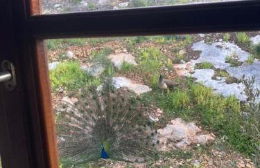 Agistri Island Dream - Foto 5