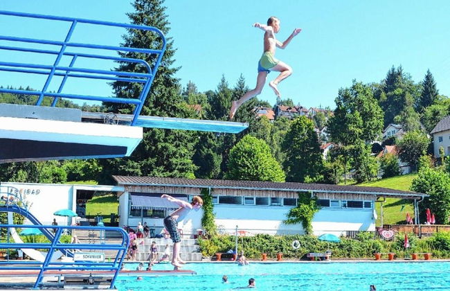 Apartment in Pfaffenberg Near Ski Slopes - Foto 12