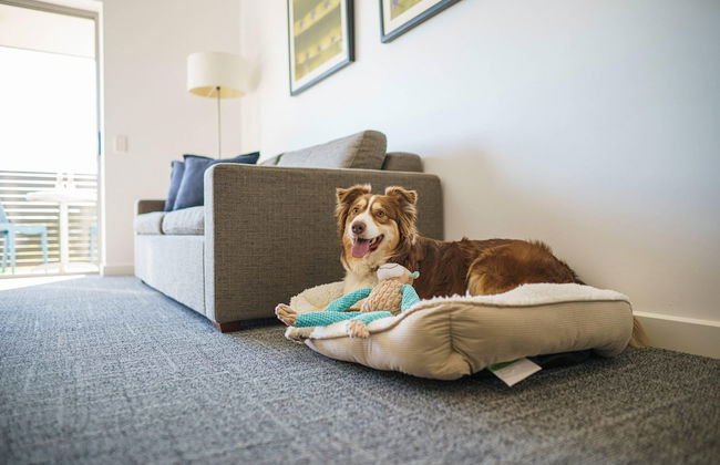 MainStay Suites Whyalla - Foto 77