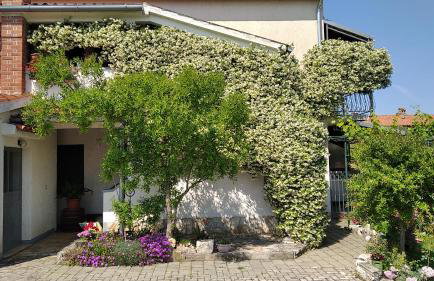 Apartments Saša - pets friendly! - Foto 18