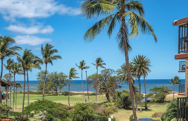 Sunny and Soothing Oceanfront Vistas - Foto 49