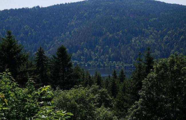 Apartment in Dachsberg-urberg - Foto 34