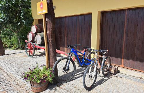 Quinta de Carcavelos Agroturismo e Enoturismo - Foto 40