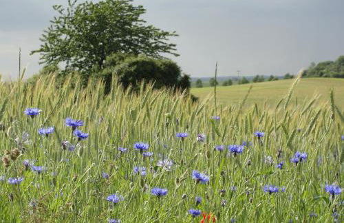 Seeresidenz Klink - Foto 30