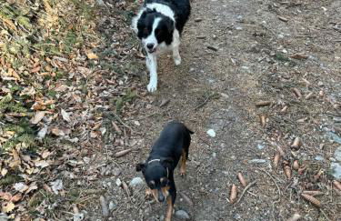 Ferienwohnungen JoJaSa - Foto 78