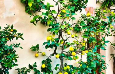 Agriturismo La Marginella - Photo 70