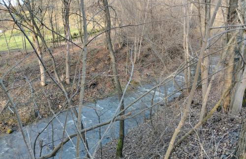 Domek PUSTELNIA do 5 osób - Foto 19