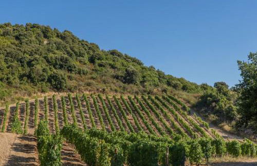 Ma Vie Là - Foto 26