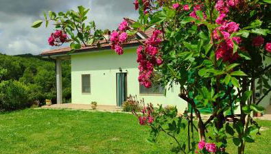 Pia's house garden - Foto 2