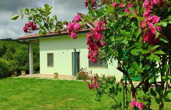 Pia's house garden - Foto 2