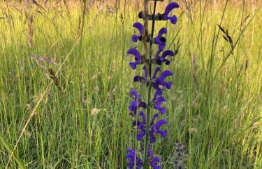 Calme et tranquillité - Foto 10