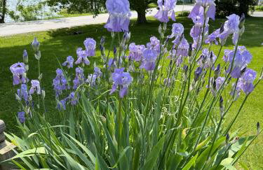 Lakefront Farmhouse for Family Gatherings - Foto 32