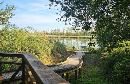 Beautiful Alamedas, un santuario donde el tiempo se detiene - Foto 91