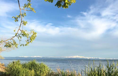 seelandsuite Bodensee - Foto 21