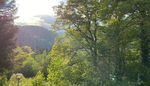 Kaffeehof 2 - FeWo in ruhiger Aussichtslage - Foto 4