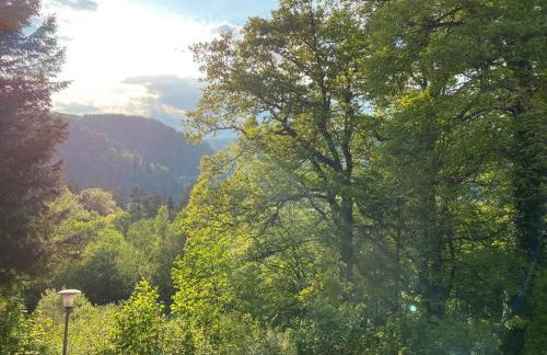 Kaffeehof 2 - FeWo in ruhiger Aussichtslage - Foto 4