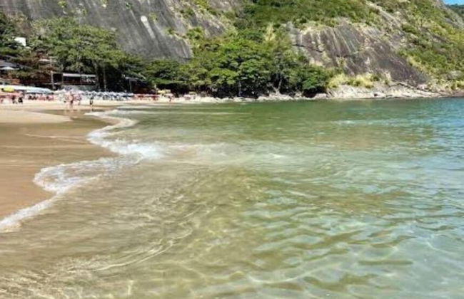 Andorinhas - Foto 77