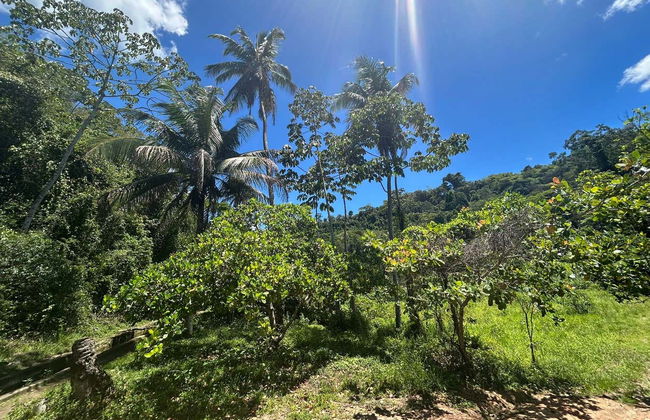 Excursión a Delmiro Gouveia - Foto 9