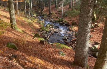 Ferienwohnung Lindenhof - Foto 22