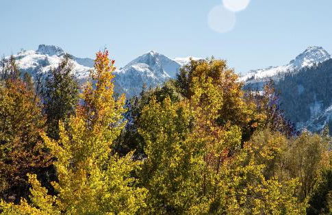 Agritur Artemisia - Photo 8