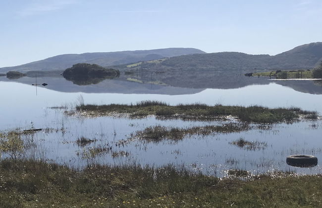 Carraigin Ban - Foto 21