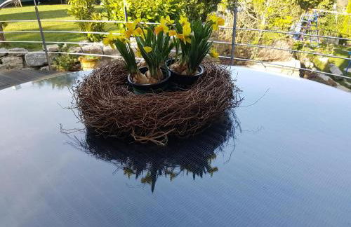 Business Apartment Ravensburg - sonnig, zentral & ruhig - Foto 19