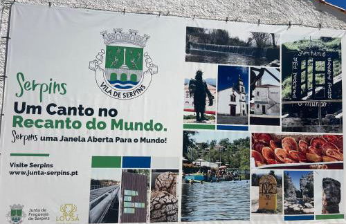 Quinta-lina de serpins - Foto 74