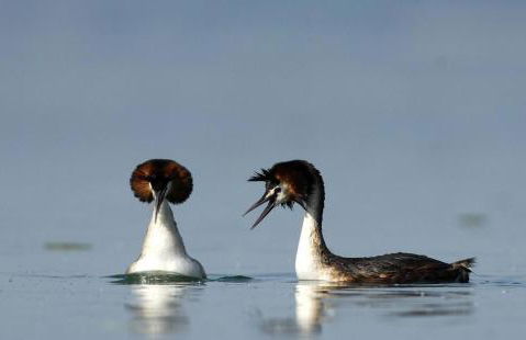 Au clos champenois - Foto 15