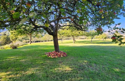 Rincón de Madagascar VV-2192-AS - Foto 35