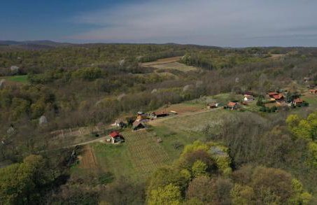 Kuća za odmor Janković - Foto 13