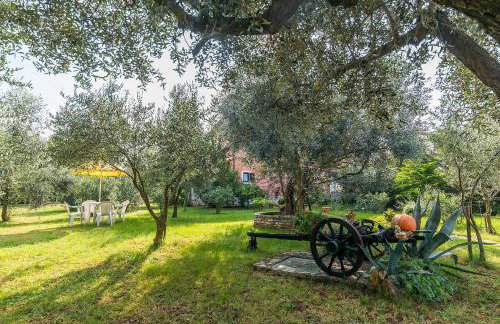 Apartmani Mirjana Umag - Foto 46