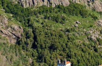 Apartamento C&C - Foto 40